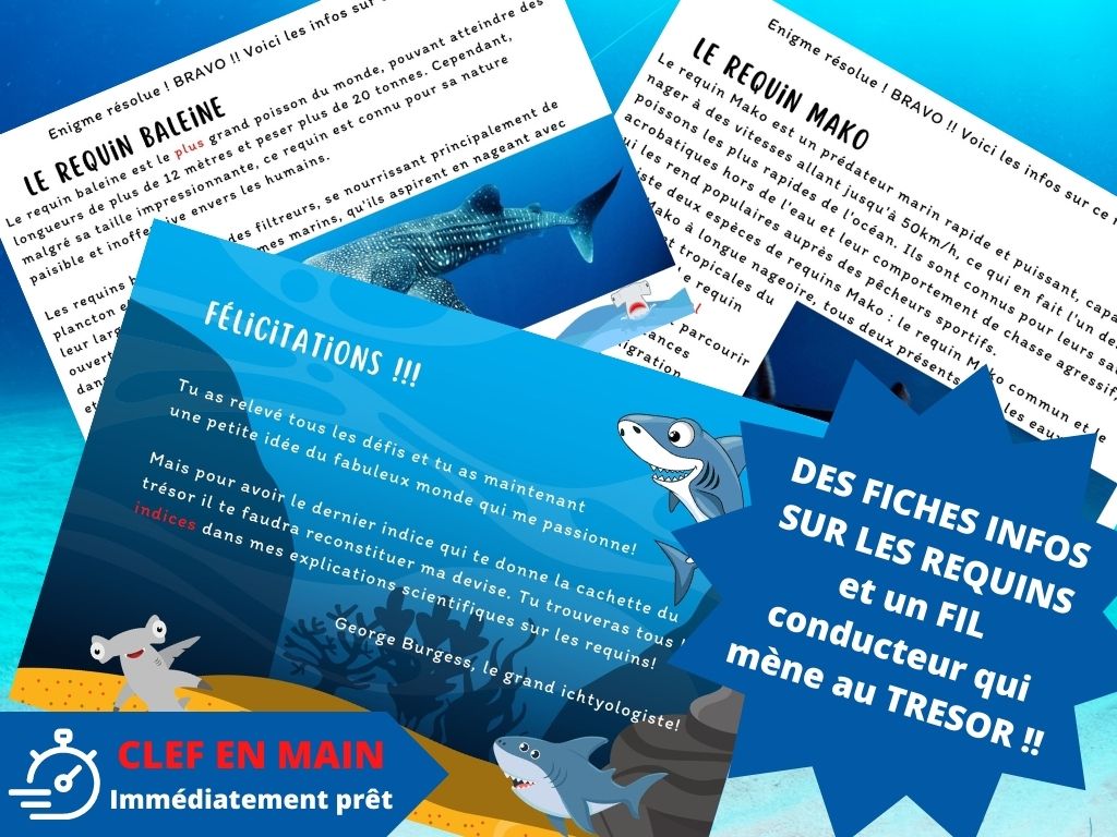 Chasse au trésor Requin - Fete pour enfant