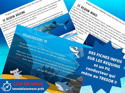 Chasse au trésor Requin - Fete pour enfant