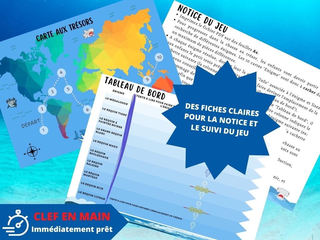Chasse au trésor Requin - Fete pour enfant
